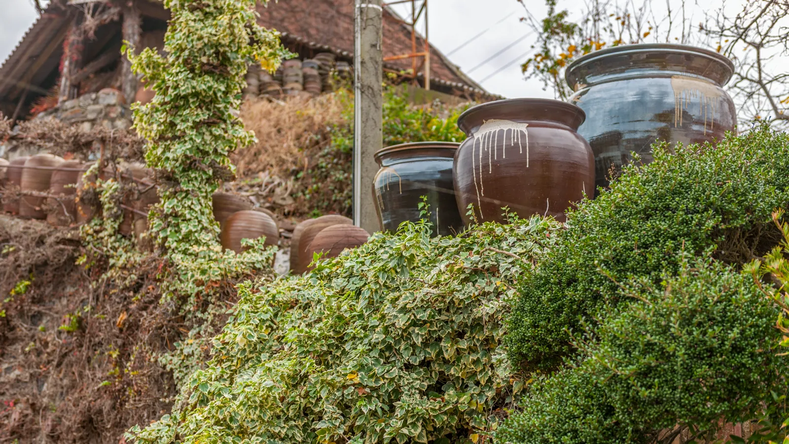 徳島県を代表する大谷焼（おおたにやき）とは？主な特徴から製造工程