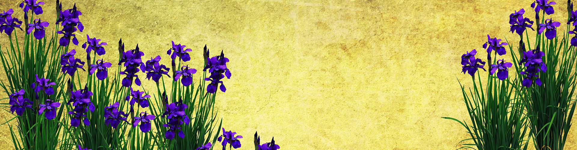 irismoke - kilesa｜株式会社 香師