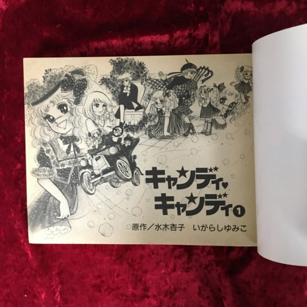 キャンディ キャンディ 愛蔵版 1巻・2巻 全2冊セット – 古書ドリス