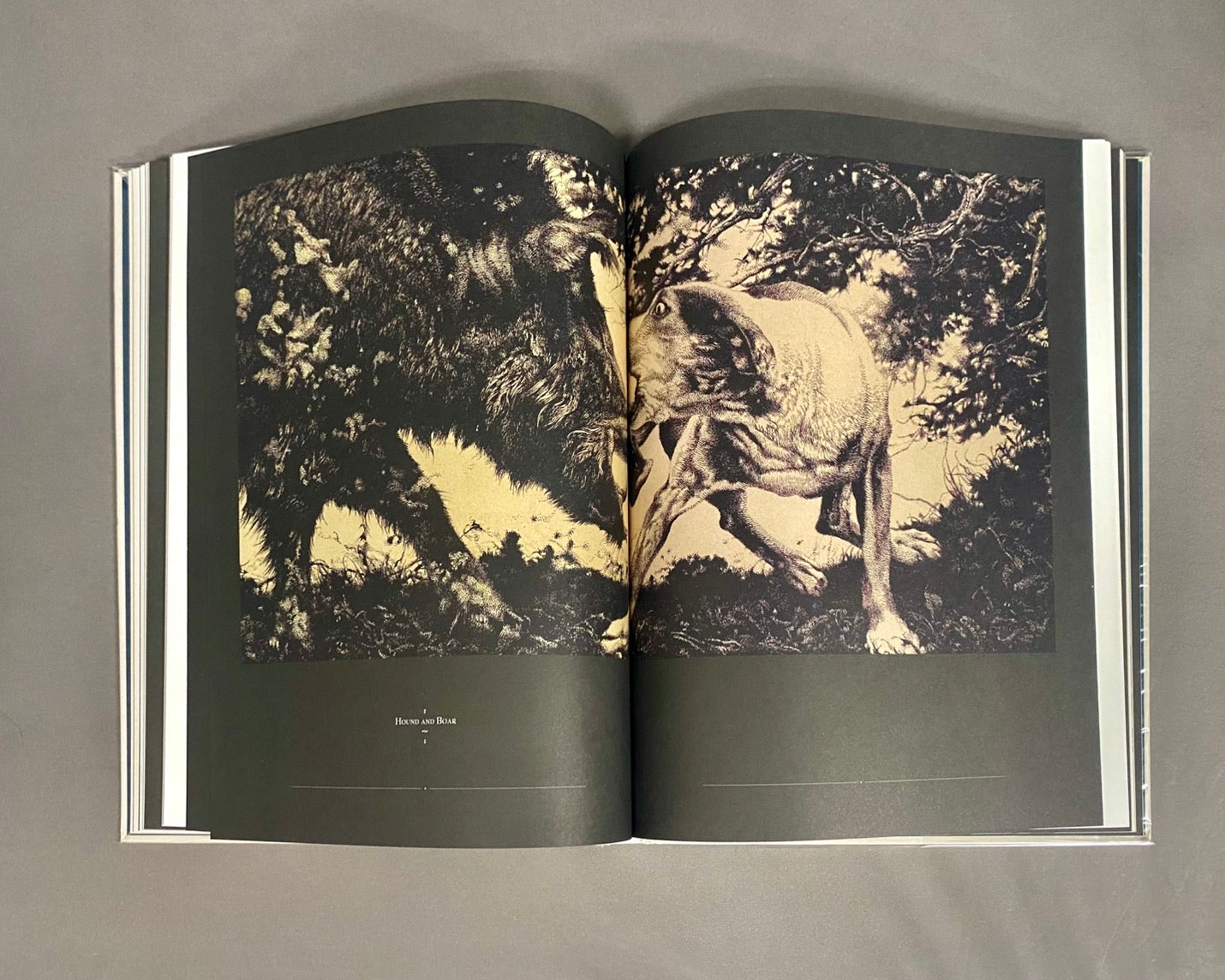 Vania Zouravliov バーニャ ズーラヴィロフ画集 – 古書ドリス