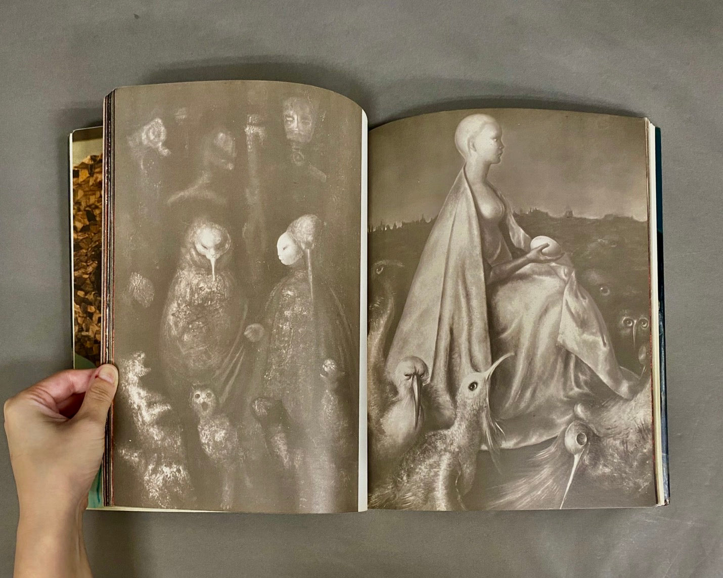 Leonor Fini レオノール・フィニ – 古書ドリス