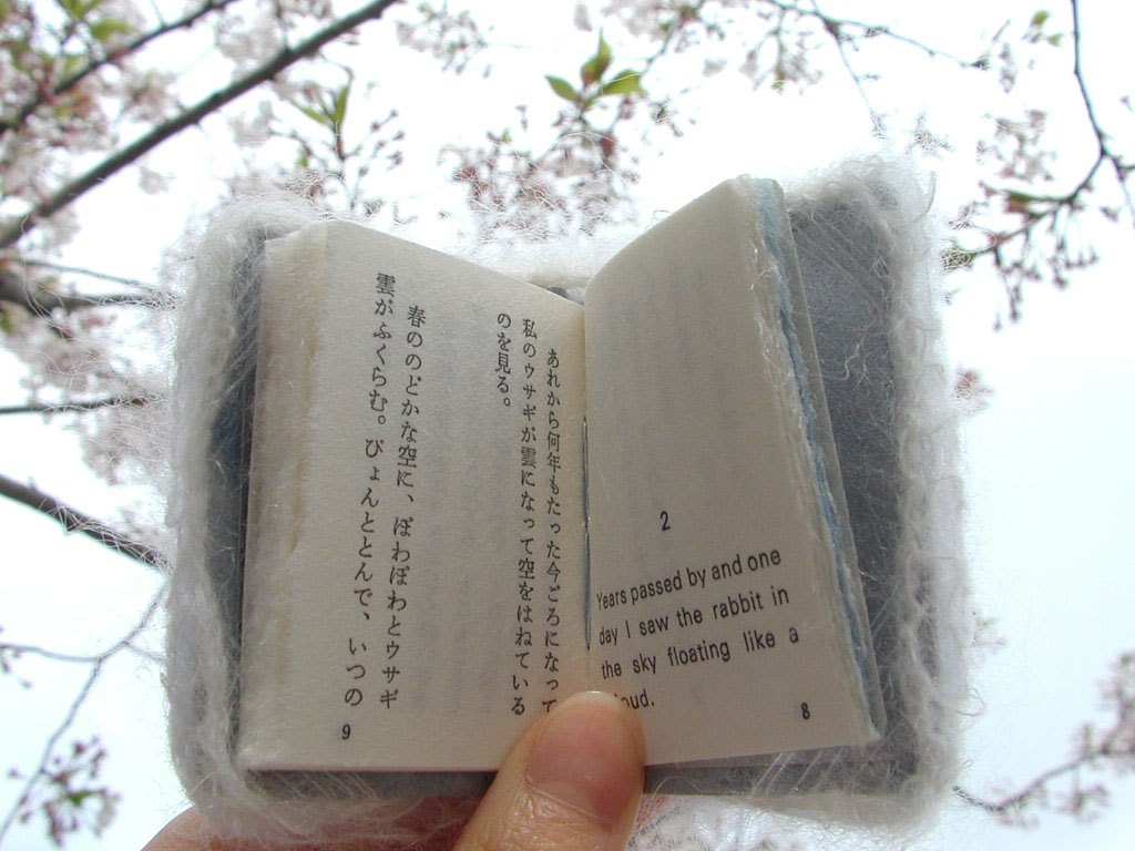 雲捕獲記録 Dancing on the Cloud」（赤井都の豆本）