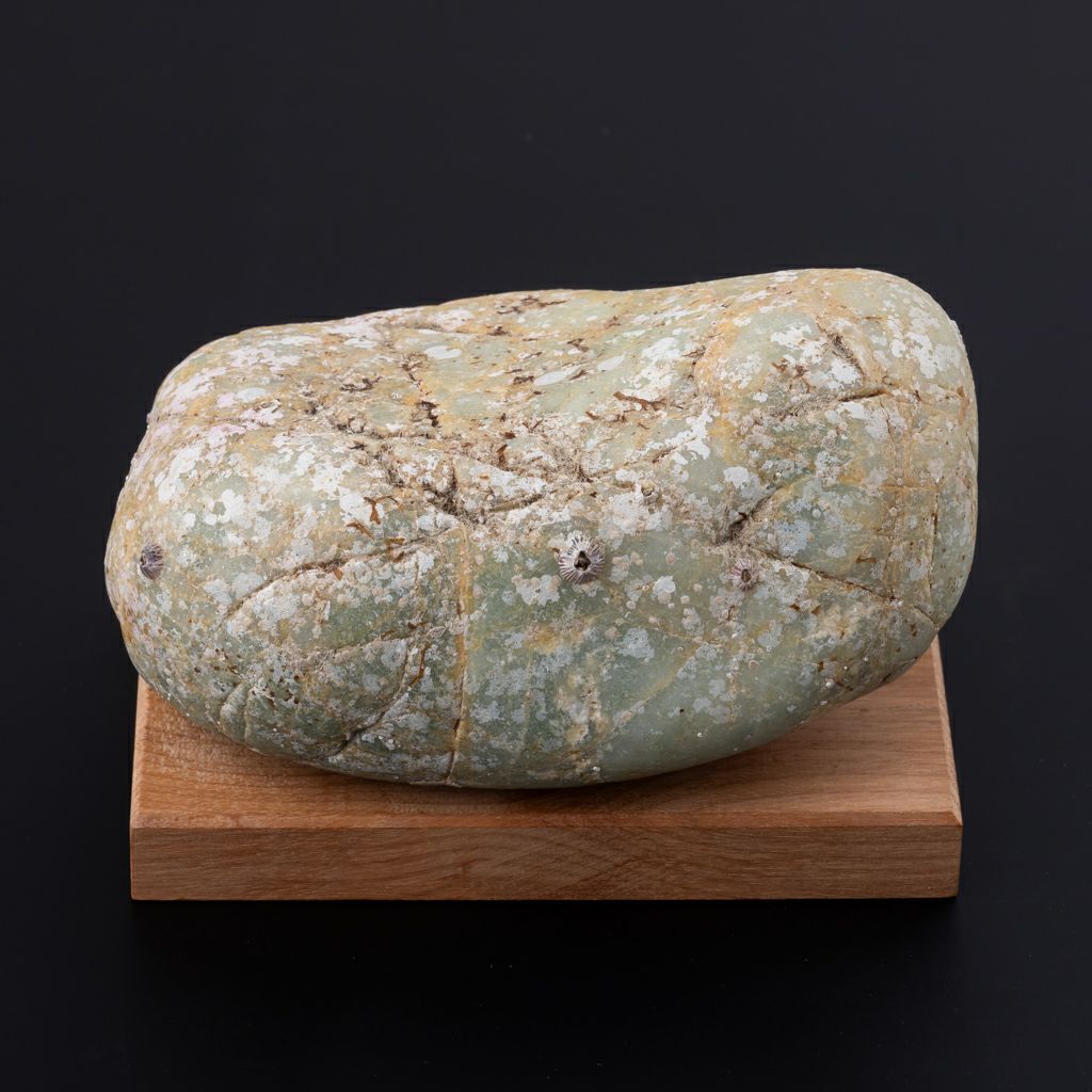 海石・親不知産・1,200g】（高品質淡緑色ヒスイ）糸魚川天然翡翠原石