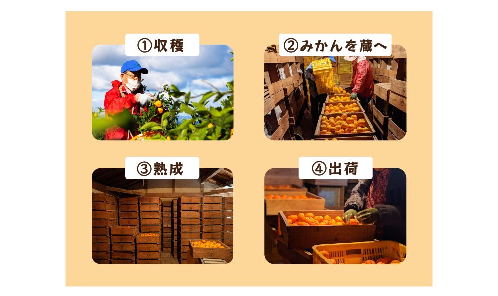 飲むゼリー｜蔵出しみかん果汁90％！素材の味をそのまま楽しめる高果汁