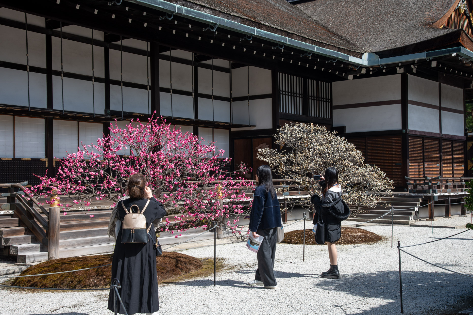 ホーム - 桂離宮