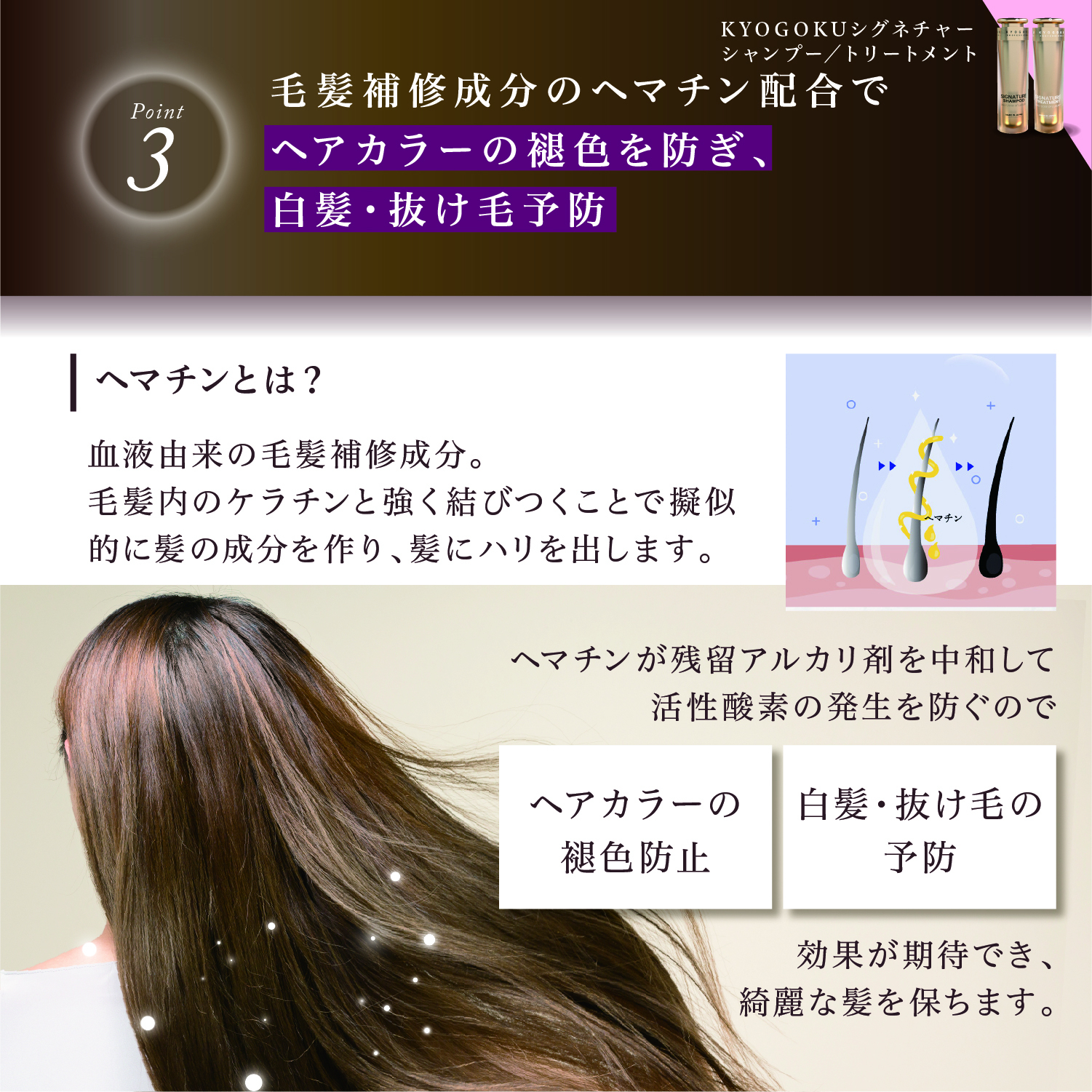 Kyogoku Professional / KYOGOKUシグネチャーシャンプー