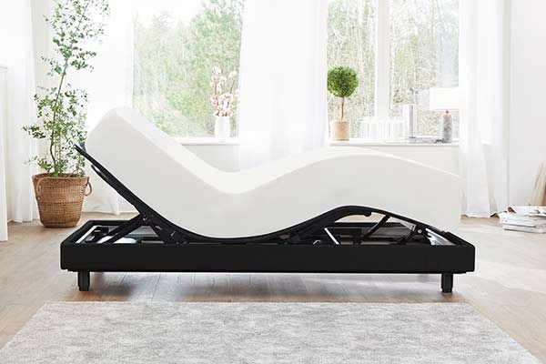 TEMPUR®【Zero-G Curve（ゼロジーカーブ）/オリジナルリュクス30