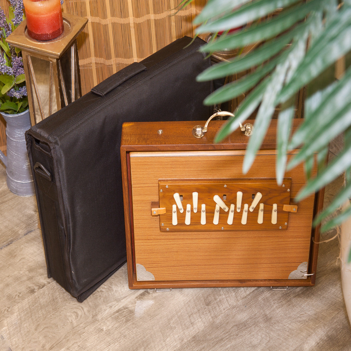 NATARAJ PRO SHRUTI BOX With SIDE CONTROLS 13-REED 4C-5C – Lark in