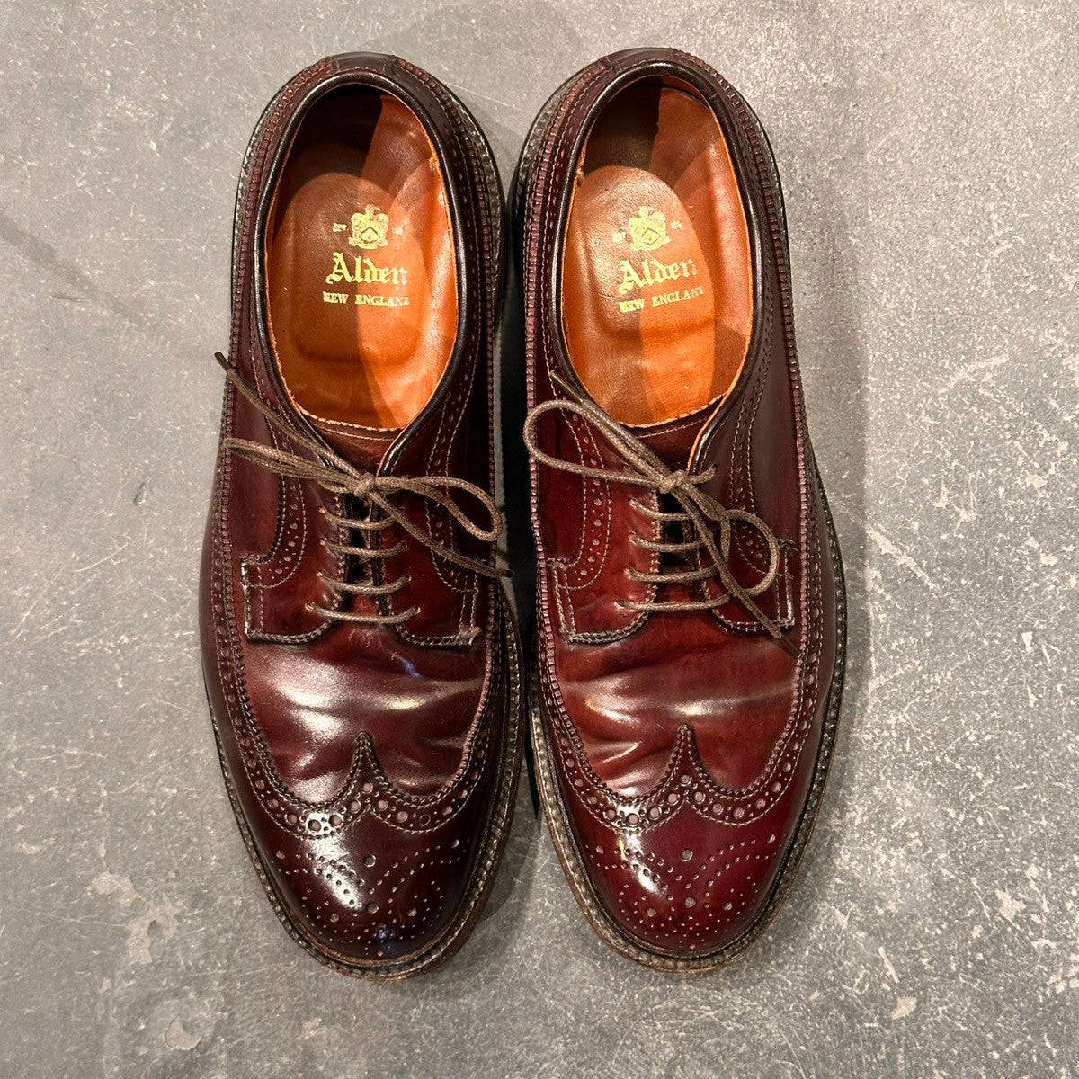 ALDEN】オールデン 975 LWB ウイングチップ コードバン ダーク