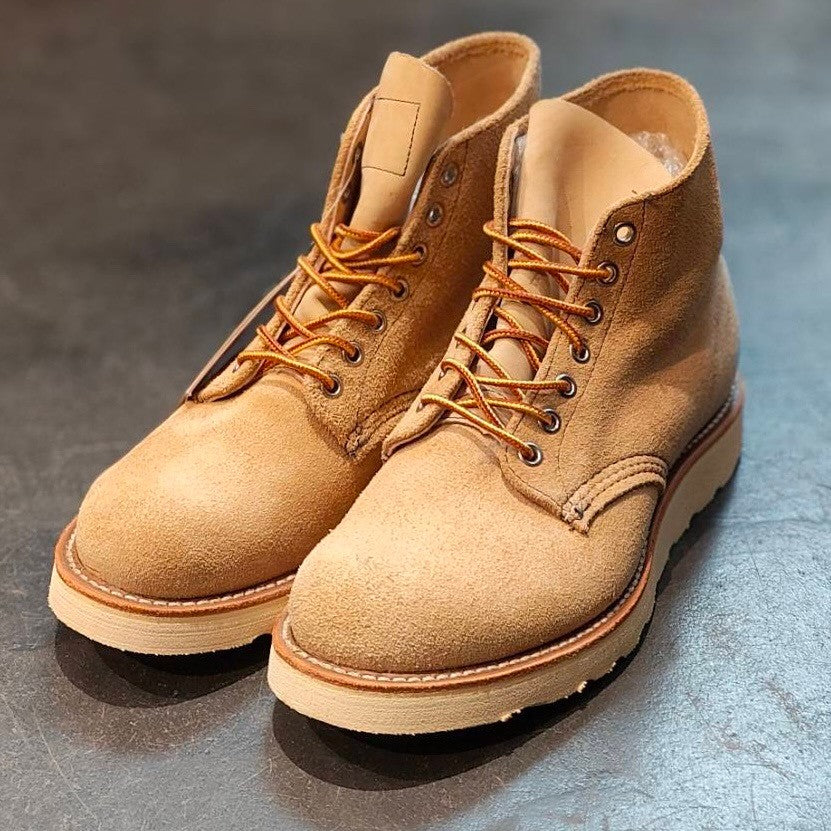 未使用品【REDWING】レッドウィング アイリッシュセッター 四角犬タグ