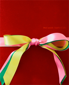 Sophie Calle : Moi Aussi - Les presses du réel