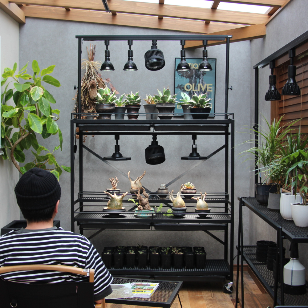 可動式水受けトレー付き植物棚