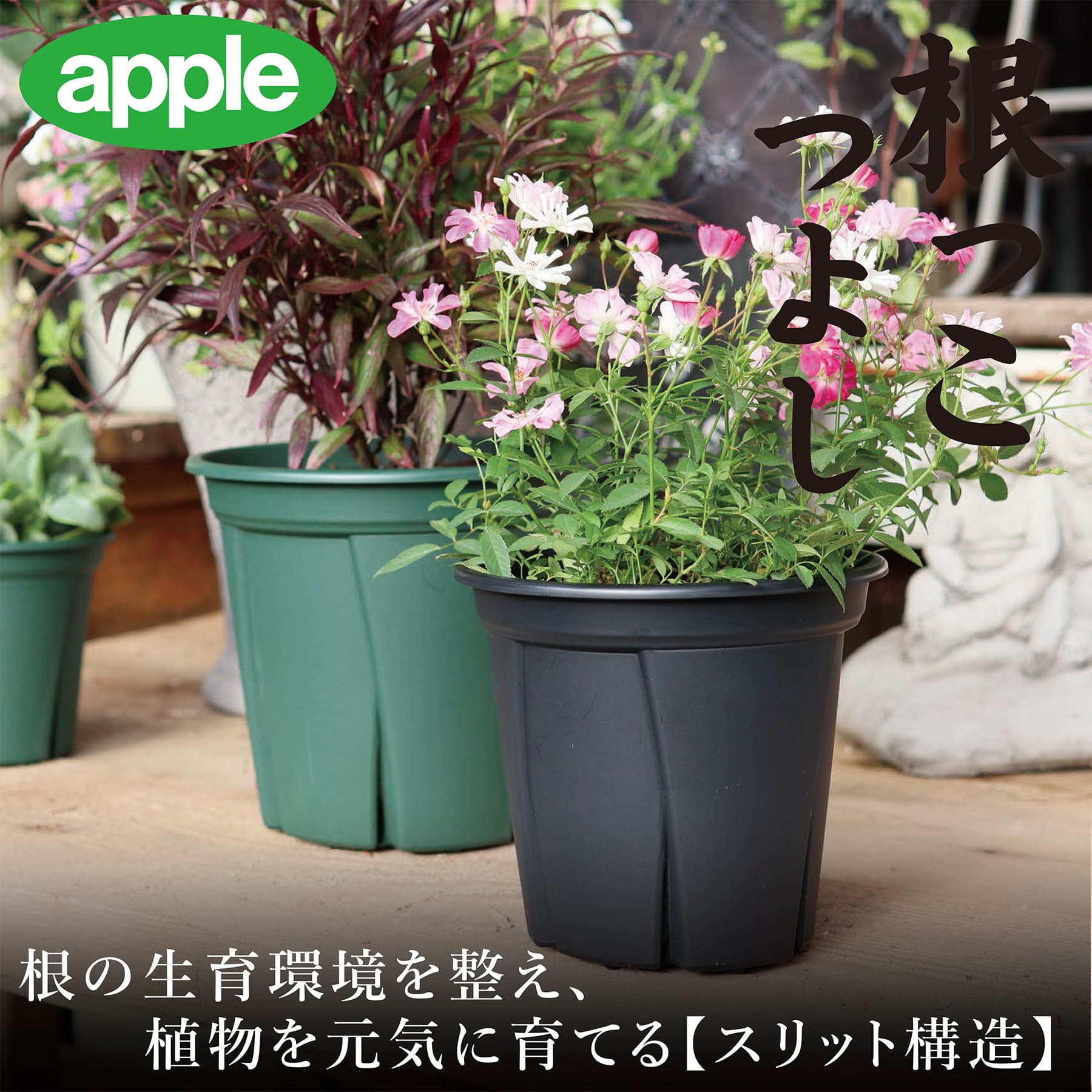 根っこつよし 3.5号（4個パック） アップルウェアー（apple