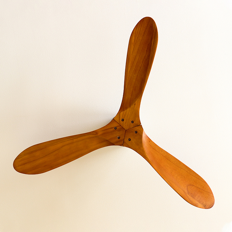 Modern Collection シーリングファン REAL wood blades JE-CF025