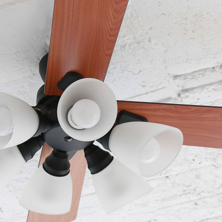 シーリングファン Windouble 6灯 BIG-102 | plusmore(プラスモア)