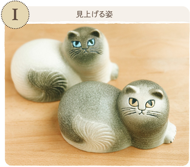 Maj じゃまをする猫「マイ」