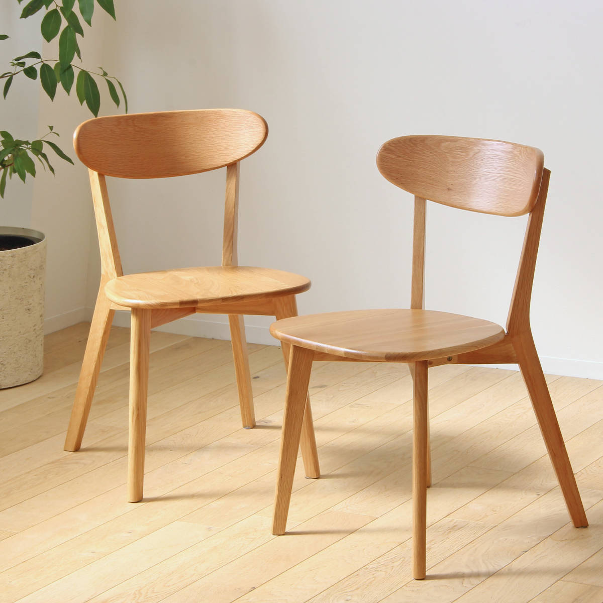 ダイニングチェア 2脚セット 座面高43cm リバー 木製 天然木