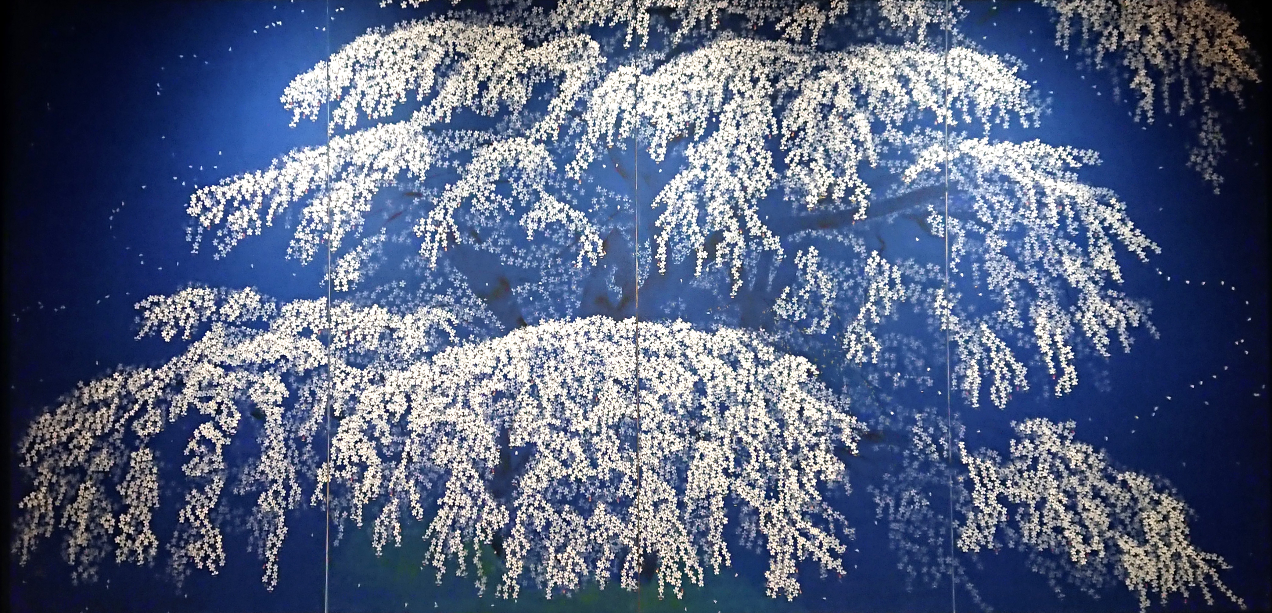 中島千波： 春夜三春の瀧櫻｜桜百景展 vol.29｜郷さくら美術館