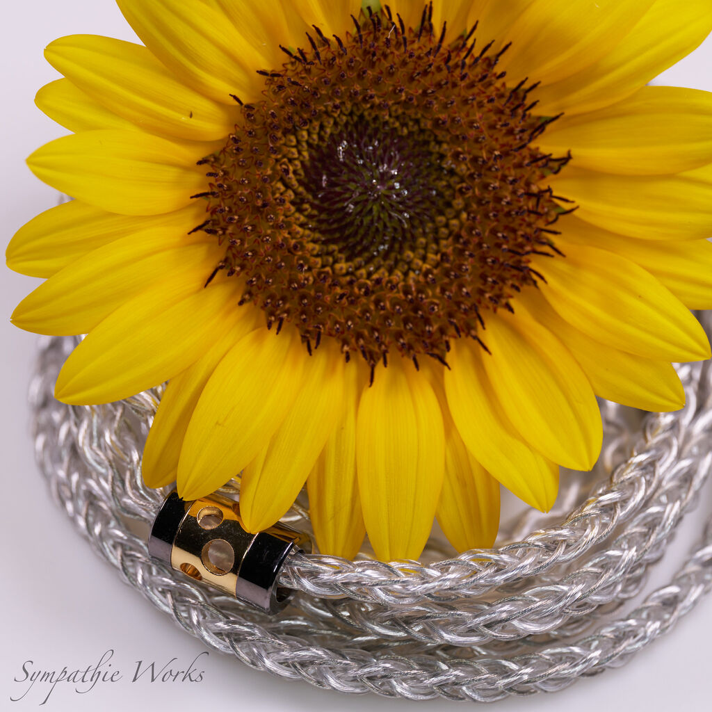 販売終了作品 : SYMPATHIE WORKS