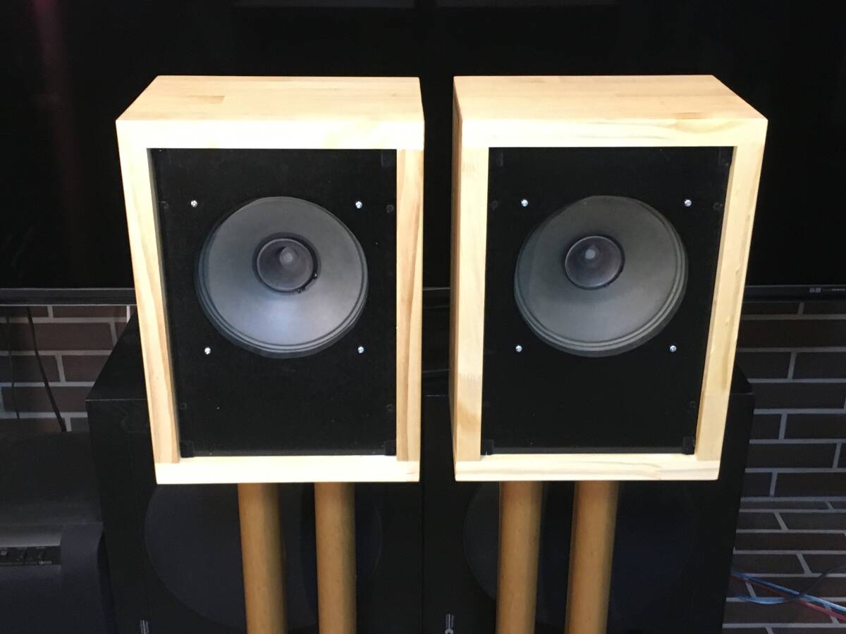 東独RFT/VEB ビンテージ 20㎝フルレンジL2153PBK システム ペア高速