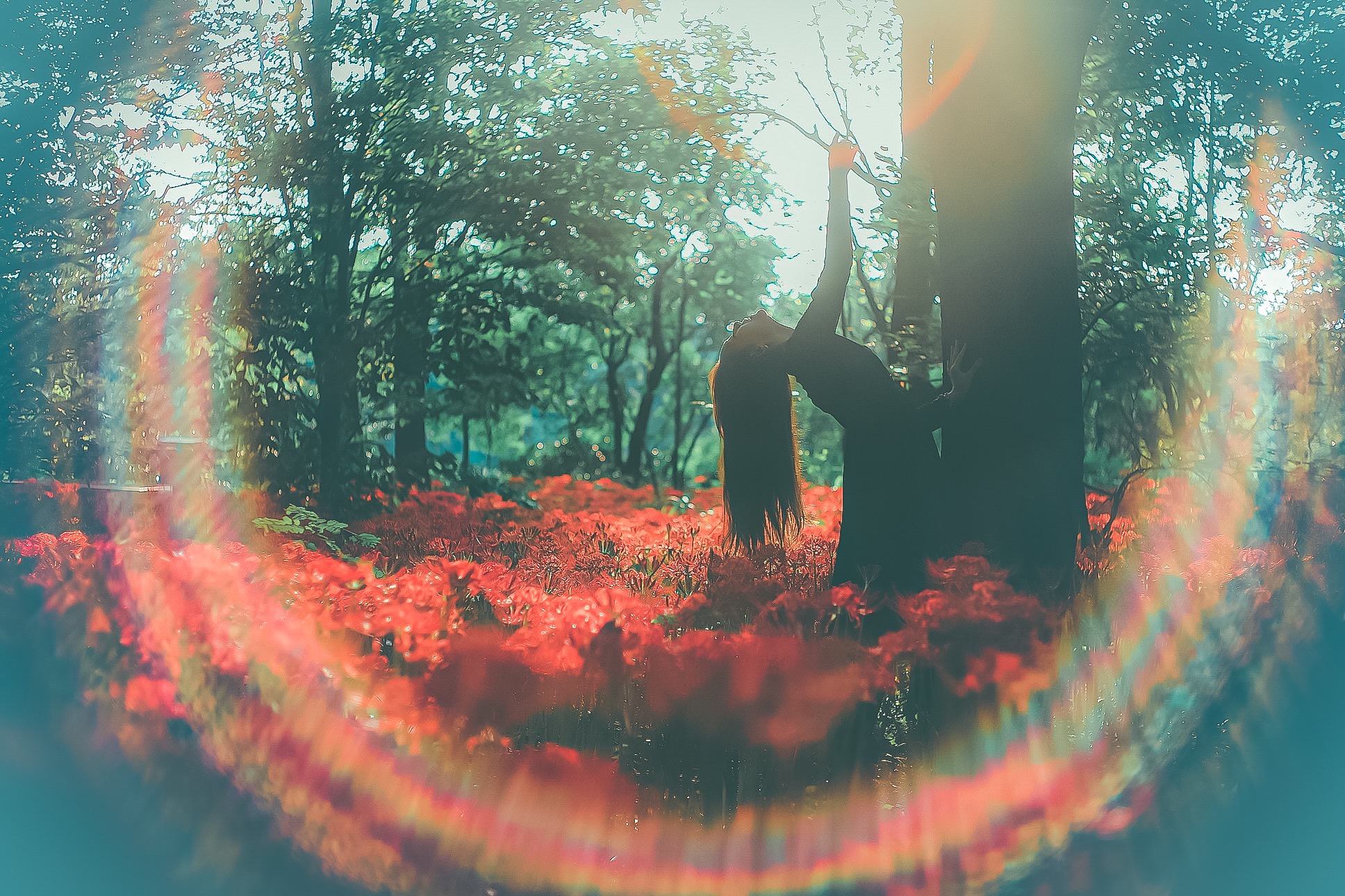 強烈すぎるフレアが出て 楽しすぎるレンズのお話「虹色レンズ」04