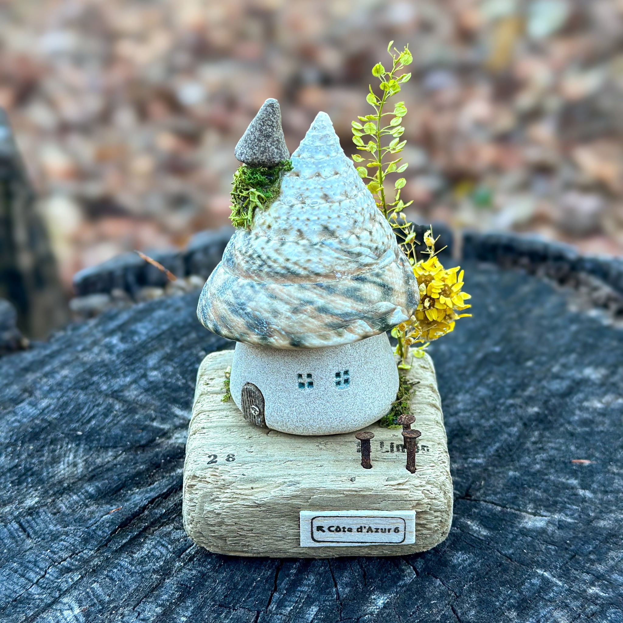 一点もの】貝殻屋根の螺旋の塔 - 流木台座付き / Maison Spirale