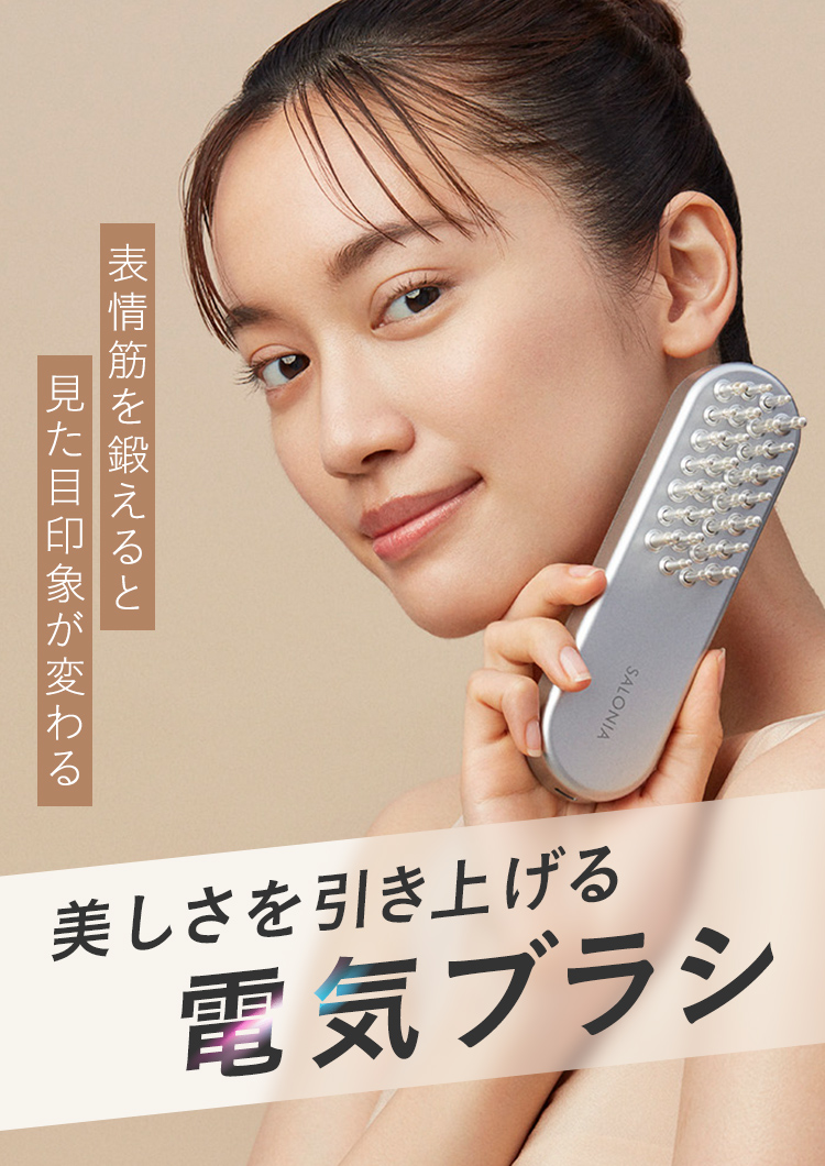 EMSリフトブラシ