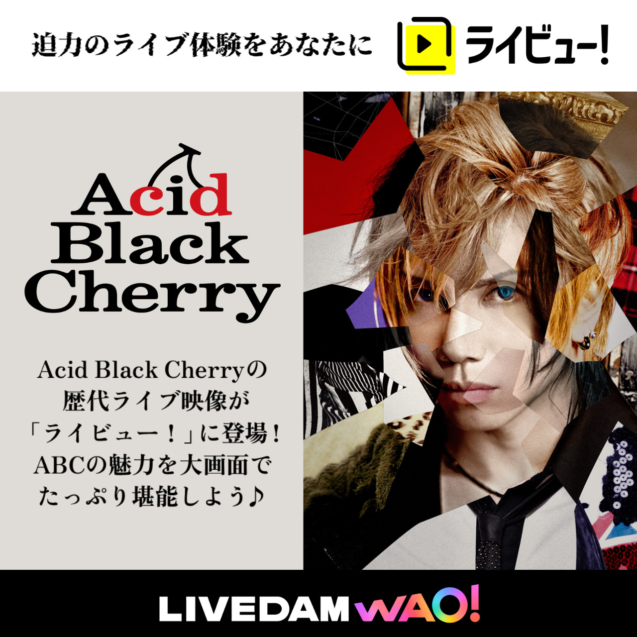 Acid Black Cherry project〝暴れろ!!!!!〟
