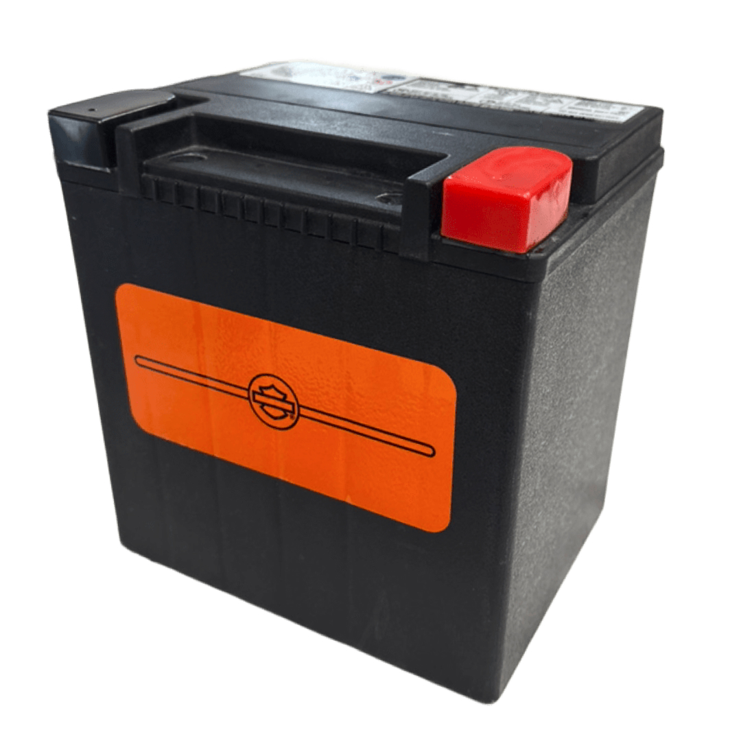 ハーレーパーツ＆用品・ラッキースカル / 【ハーレー純正】 AGM標準