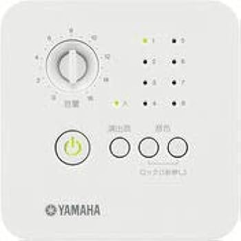 Amazon.co.jp: ヤマハ スピーチプライバシーシステム VSP-1 : 家電＆カメラ