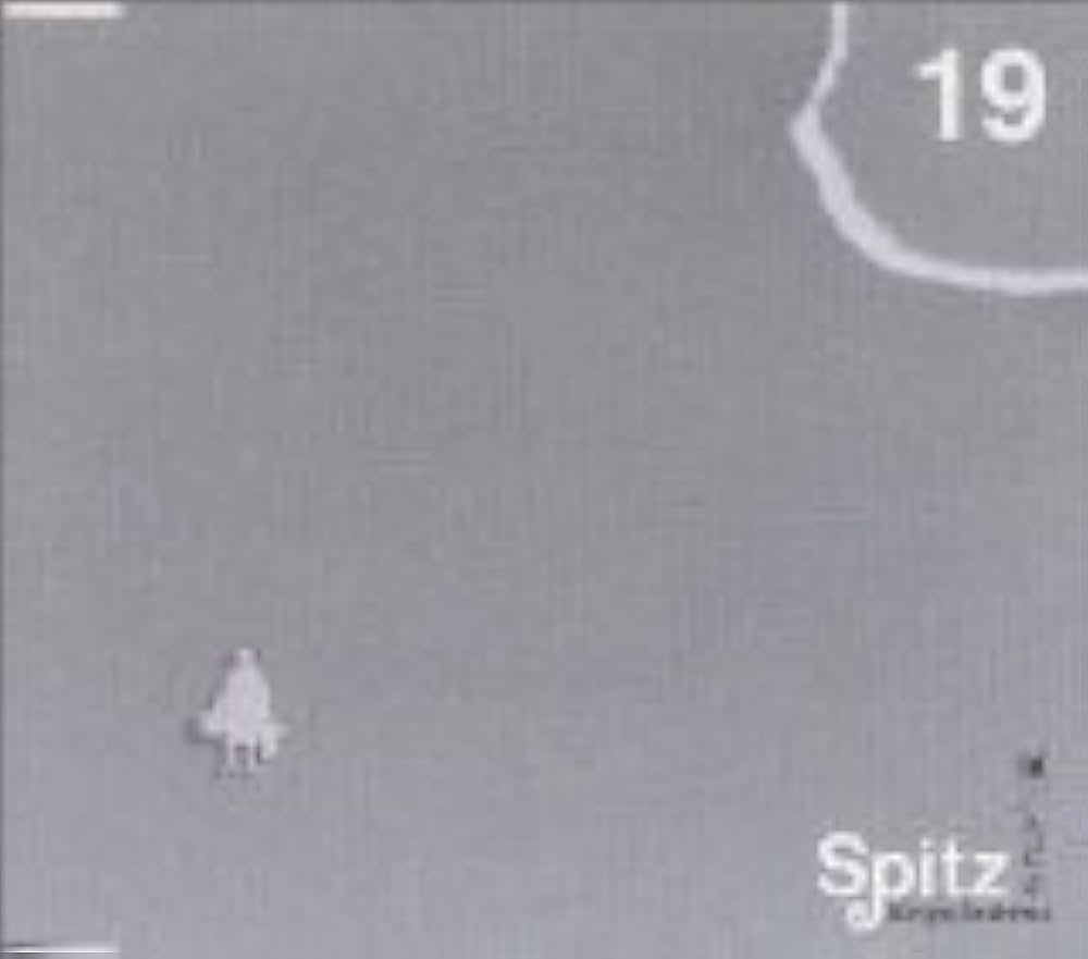 Amazon.co.jp: 楓/スピカ: ミュージック