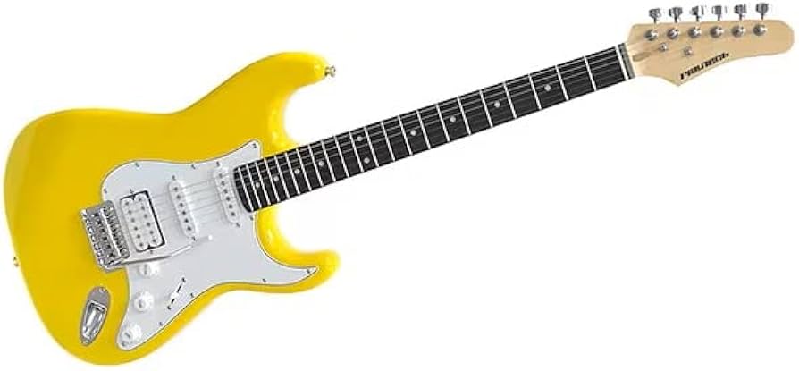 Amazon | PLAYTECH (プレイテック) エレキギター ストラトキャスター