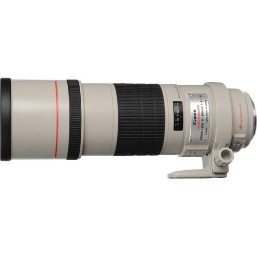 Amazon.co.jp: Canon 単焦点望遠レンズ EF300mm F4L IS USM フルサイズ