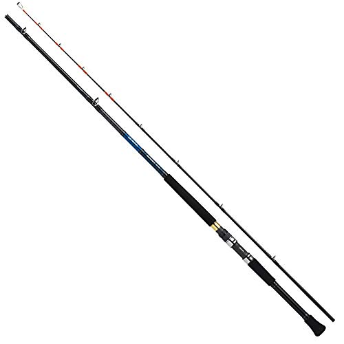 ダイワ ディープゾーン X 120-240 (ロッド・釣竿) 価格比較 - 価格.com