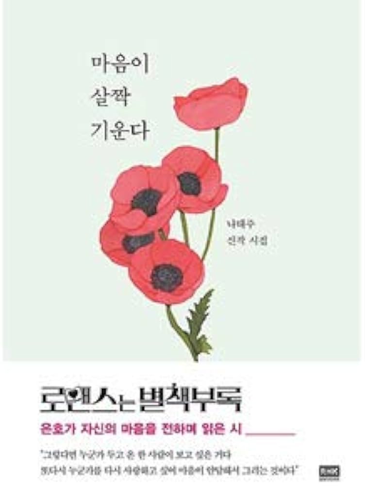 Amazon.co.jp: 韓国書籍 ドラマ'ロマンスは別冊付録'でイ・ジョンソク