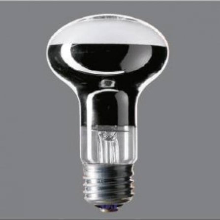 Amazon | パナソニック 20個セット レフ電球(屋内用) 100V 60形 E26