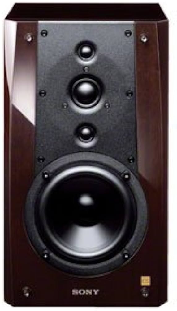 Amazon.co.jp: ソニー SONY スピーカー SS-NA5ESpe [単品] : 家電＆カメラ