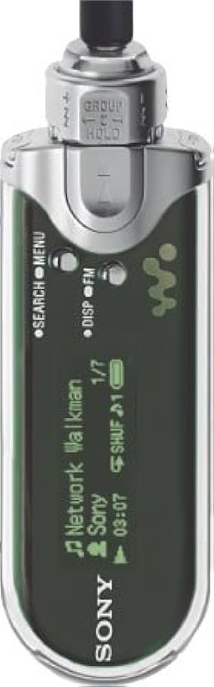 Amazon.co.jp: SONY ネットワークウォークマン [NW-E407 G] : 家電＆カメラ