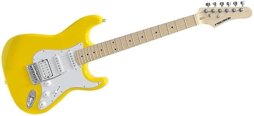 Amazon | PLAYTECH (プレイテック) エレキギター ストラトキャスター