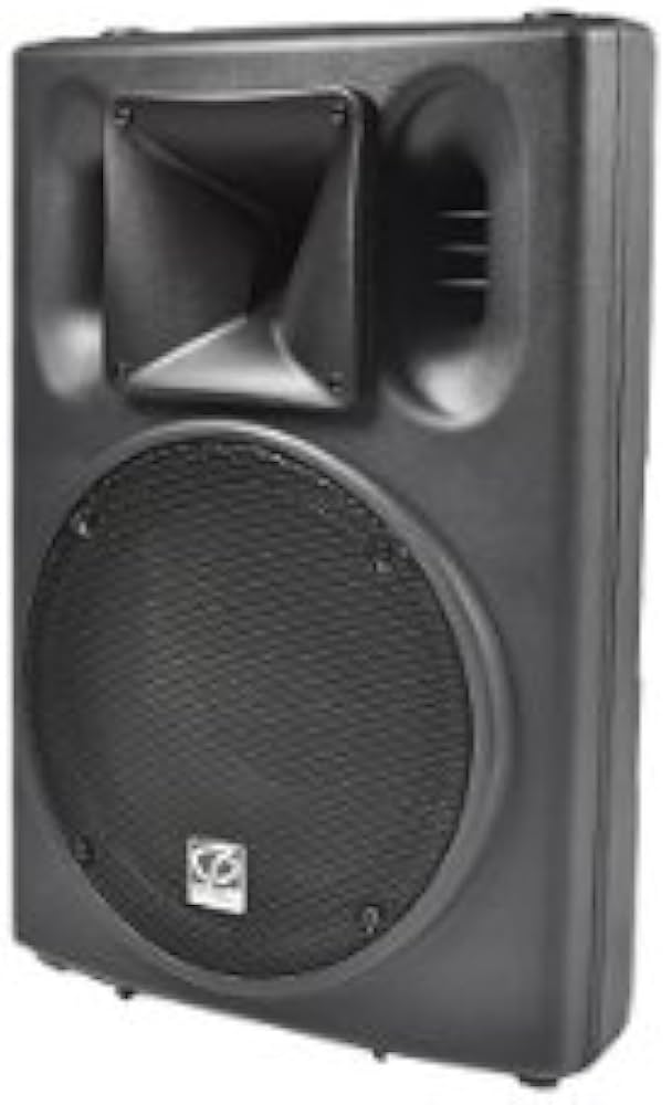 ビッケ Classic Pro CSP12P パワードスピーカー 1本 Amazon.co.jp