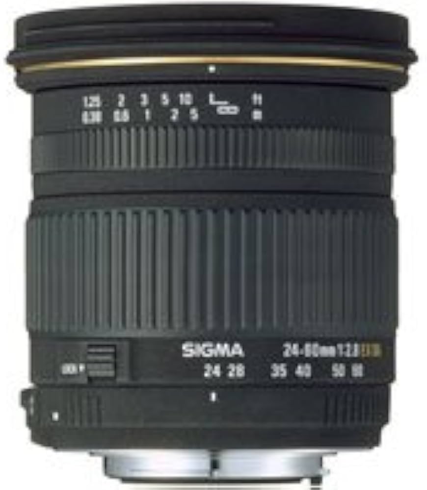 Amazon.co.jp: シグマ 24-60mm F2.8 EX DG ニコン用 : 家電＆カメラ