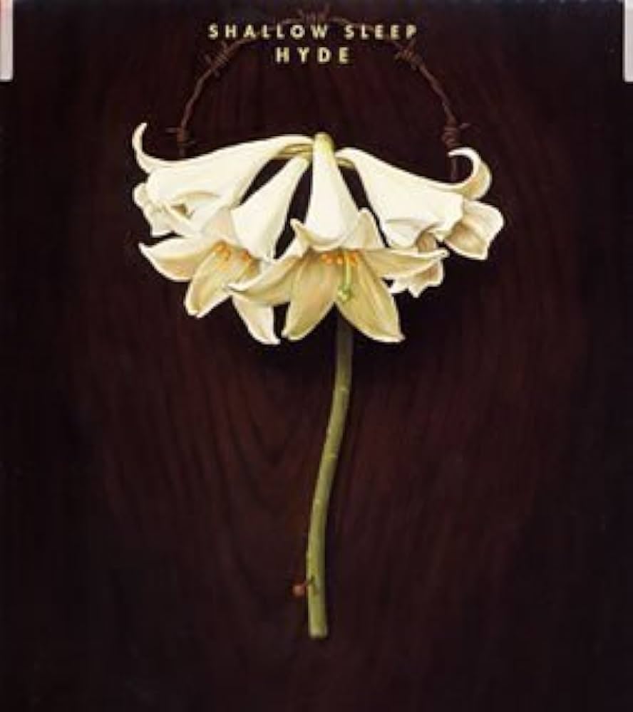 Amazon.co.jp: SHALLOW SLEEP: ミュージック