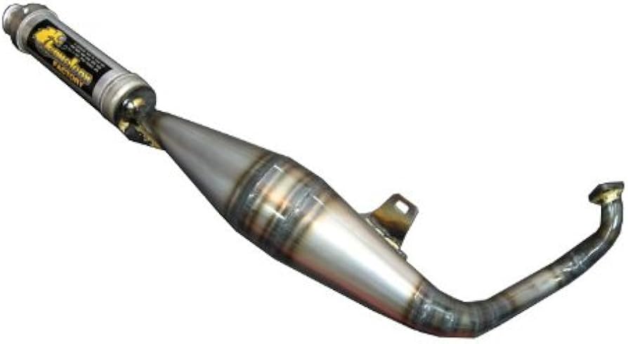 Amazon | カメレオンファクトリー パラライザー3 ライブDIO/ZX/SR専用