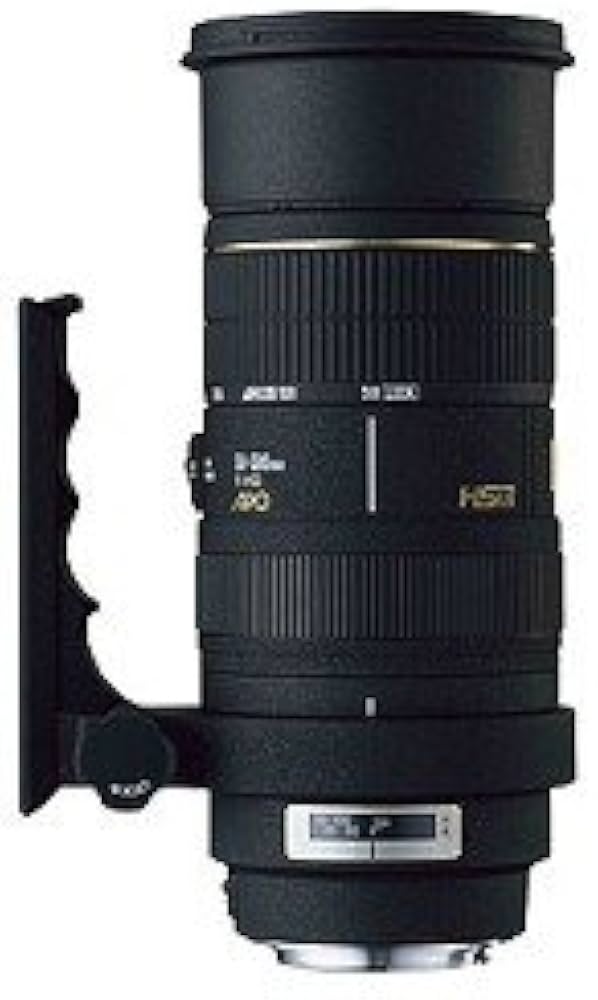 Amazon | シグマ 50-500mm F4-6.3APO EX DG HSM ニコン用