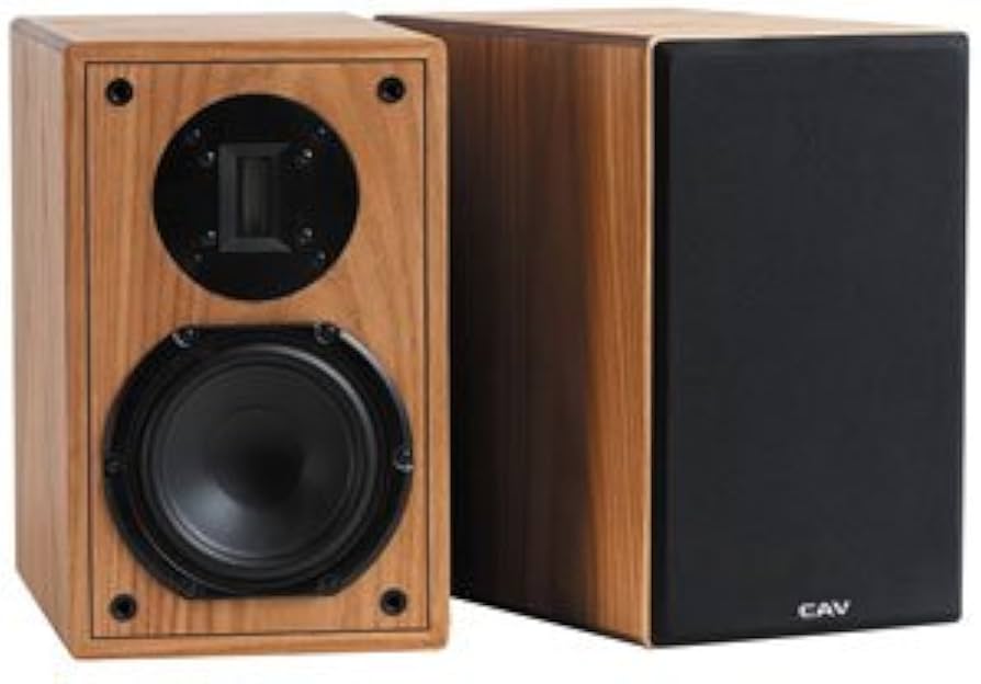 Amazon.co.jp: CAV スピーカー V-70NW(N) [ペア] : 家電＆カメラ