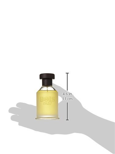 Amazon.com : Bois 1920 Vetiver Ambrato Eau De Toilette Spray 100ml