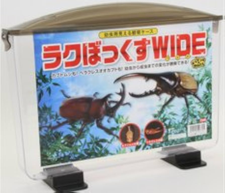 Amazon | ラクぼっくすWIDE（幼虫用見える観察ケース）×4個セット