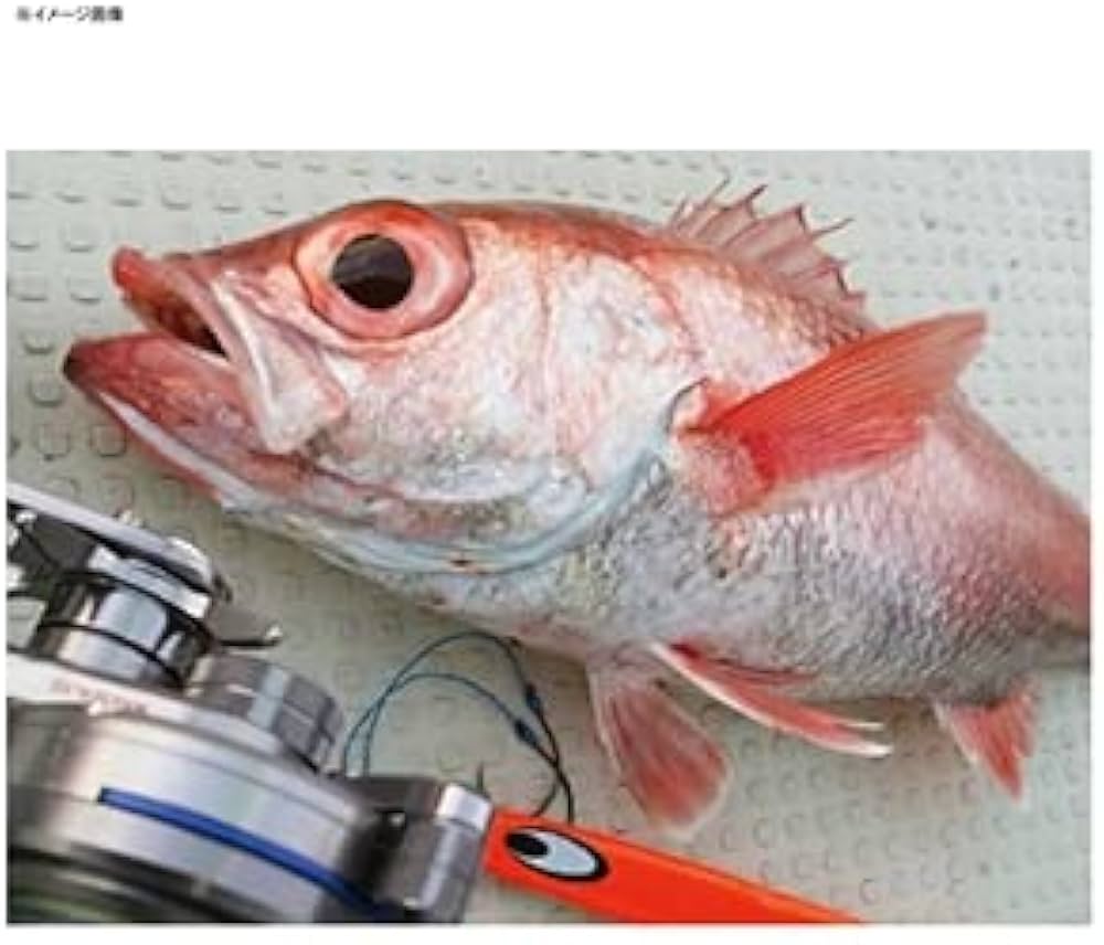 Amazon.co.jp: ダイワ(DAIWA) メタルジグ ソルティガ TGベイトロジー