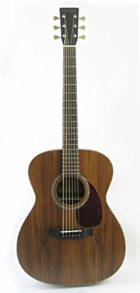 Amazon | Tokai （トーカイ）/ CAT'S EYE (キャッツアイ) CE55T-K