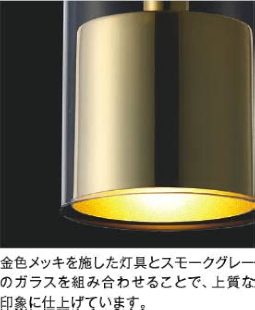 Amazon.co.jp: コイズミ 配線ダクトレール用 LEDペンダント 60W相当